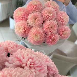 Букет 246 зефирные хризантемы